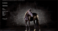 Desktop Screenshot of horsestudios.com